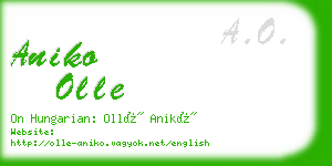 aniko olle business card